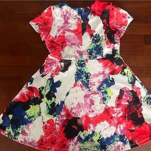Milly Vibrant Red and Blue Floral Dress